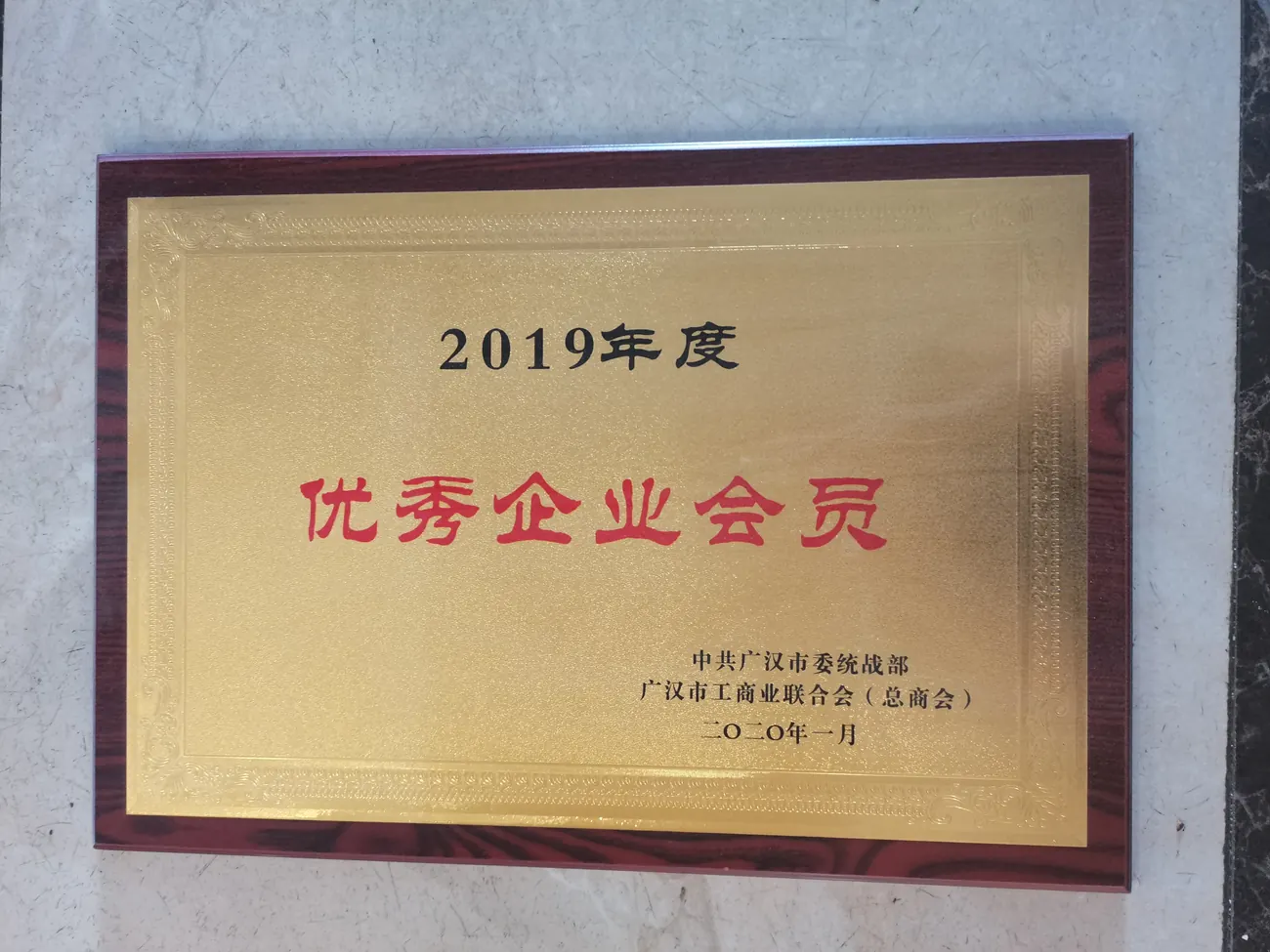 2019年度优秀企业会员